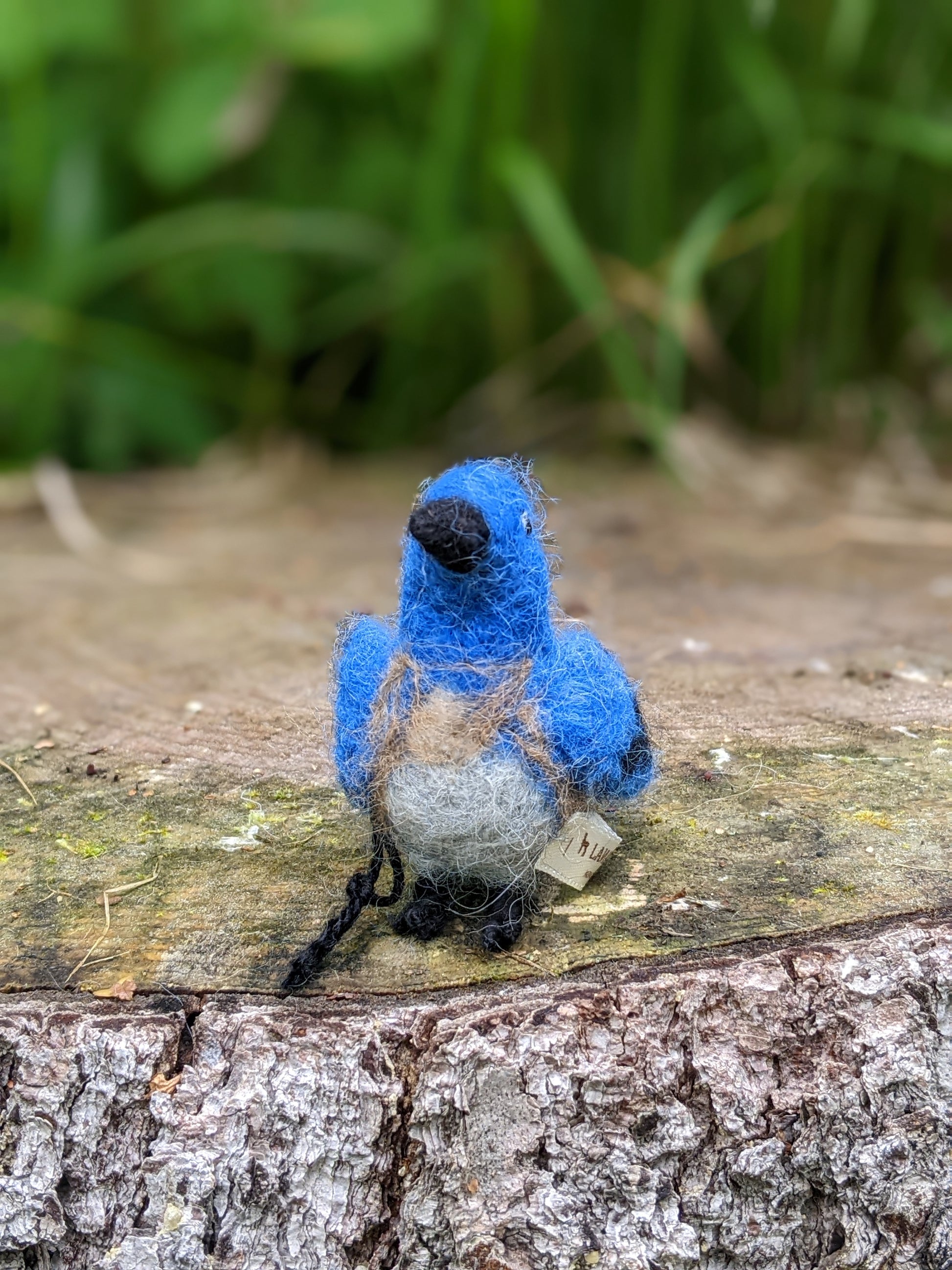 cute needle felted wool bluebird
