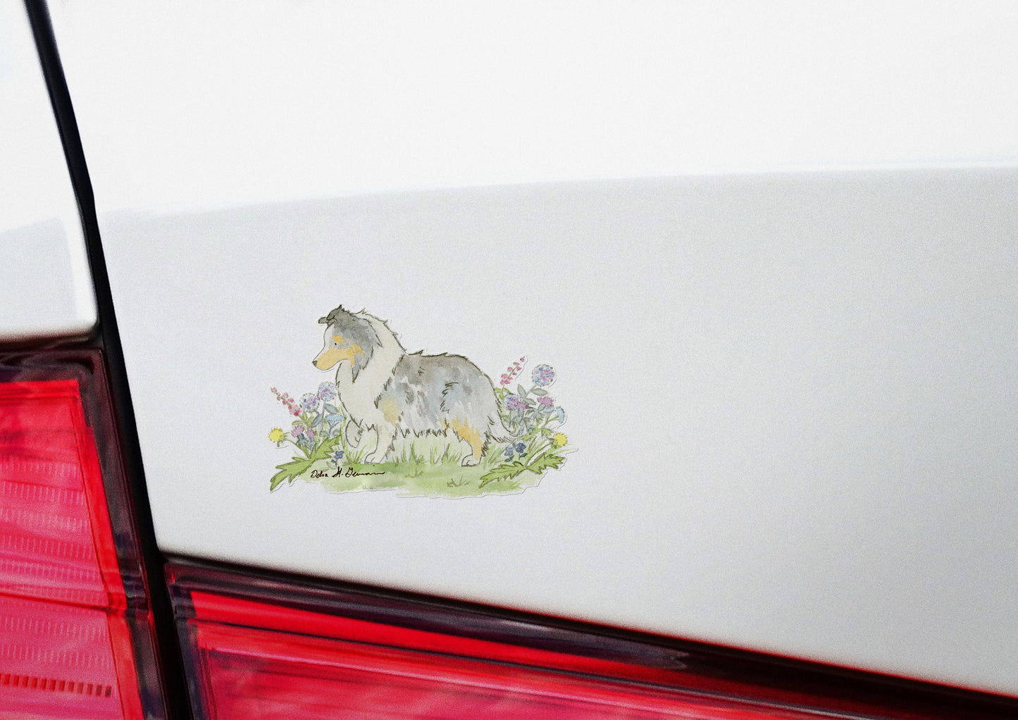Blue Merle Shetland Sheepdog Sticker, Sheltie Car Decal