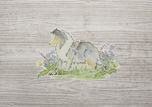 Blue Merle Shetland Sheepdog Sticker, Sheltie Car Decal