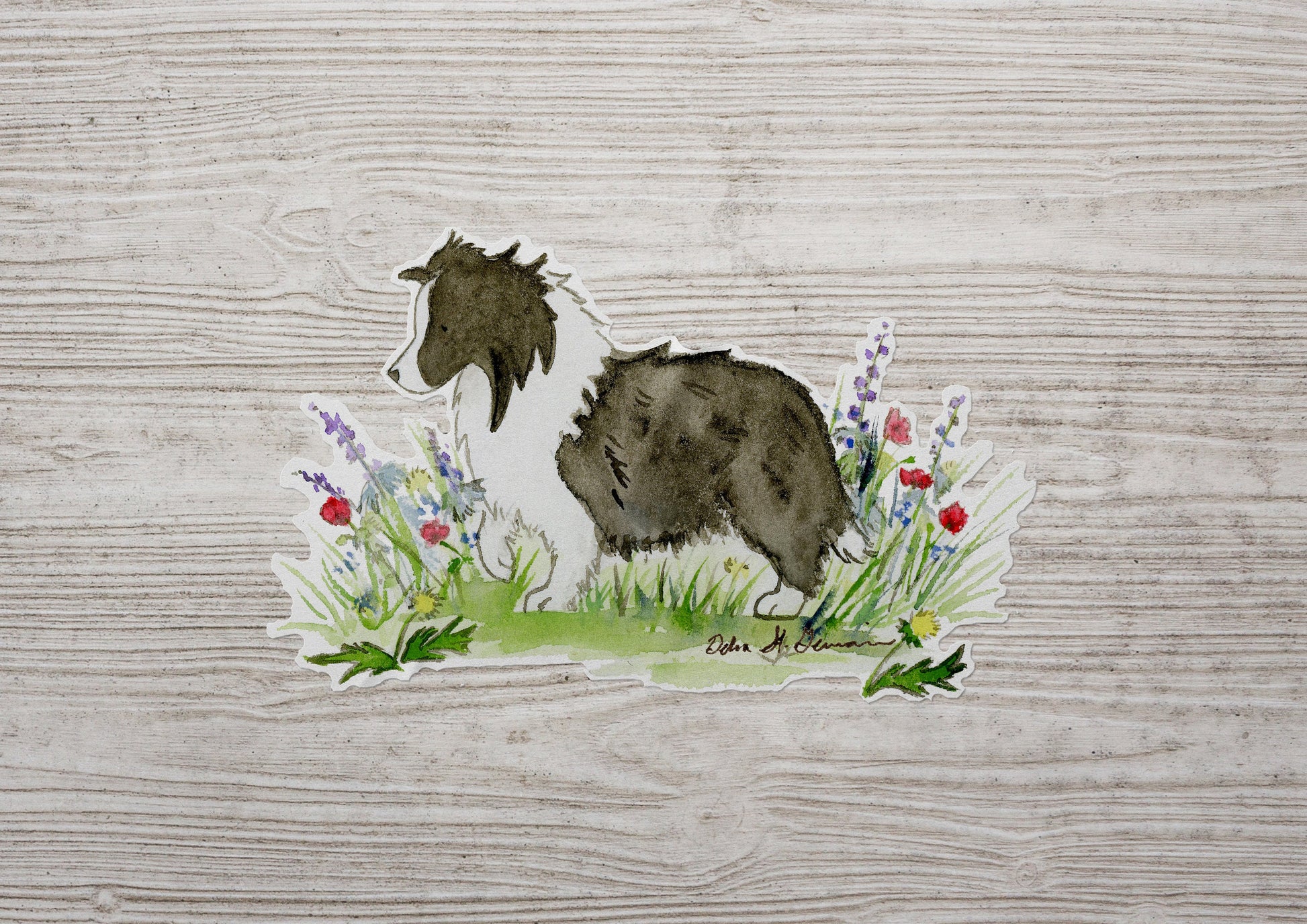 Shetland Sheepdog Sticker, Bi Black Sheltie Decal