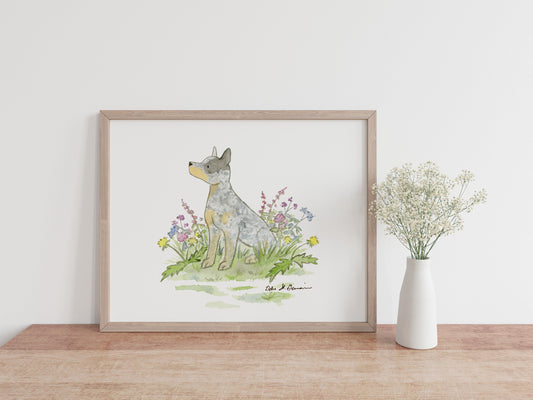 Australian Cattle Dog Art Print, Watercolor Blue Heeler Art