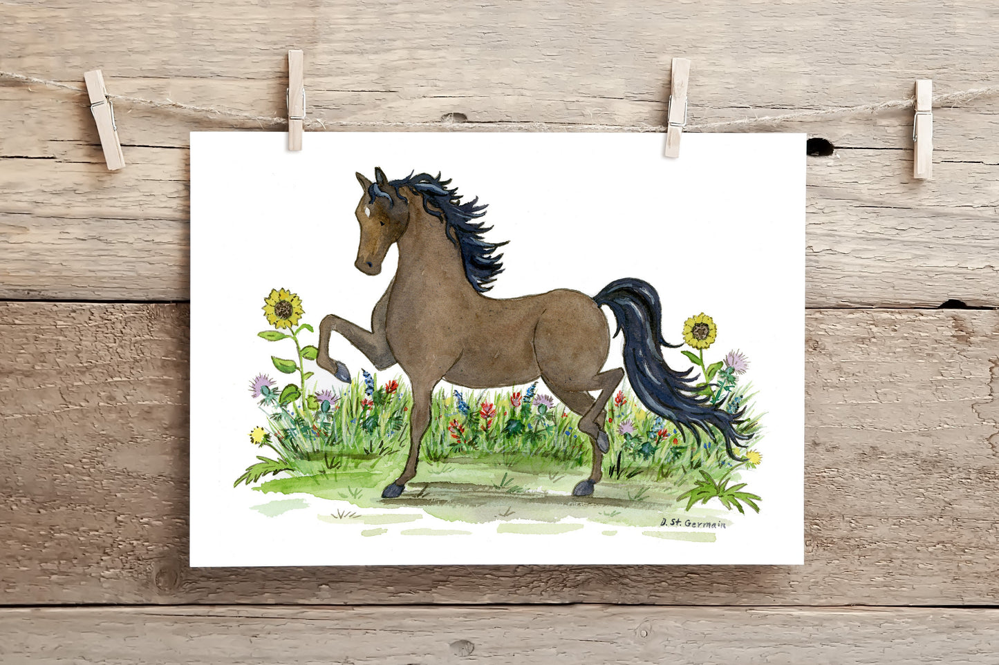 Morgan Horse Watercolor Art Print