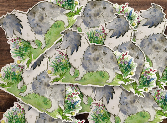 Sheltie Sticker, Bi Blue Sheltie Decal, Sheltie Car Decal