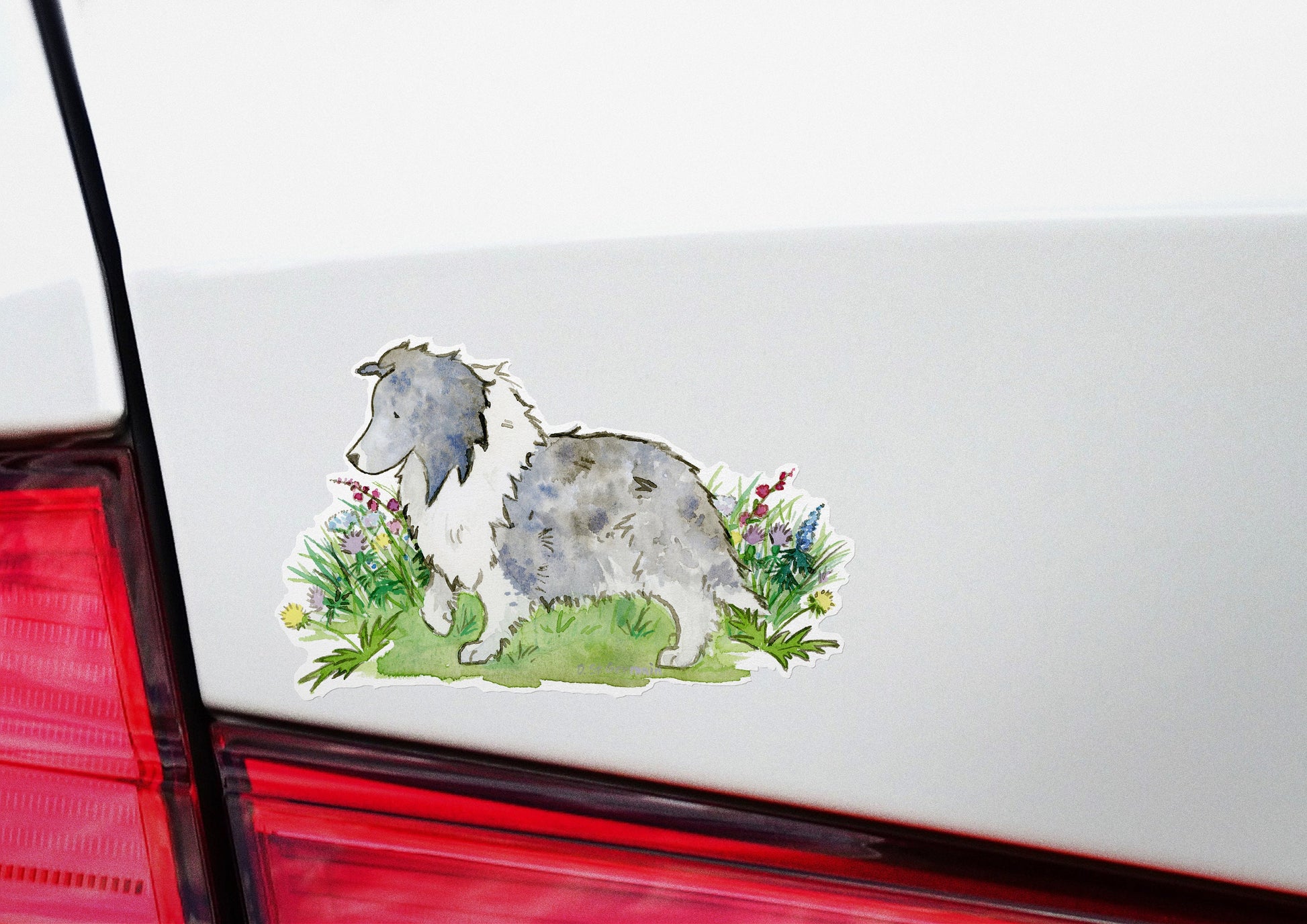 Sheltie Sticker, Bi Blue Sheltie Decal, Sheltie Car Decal