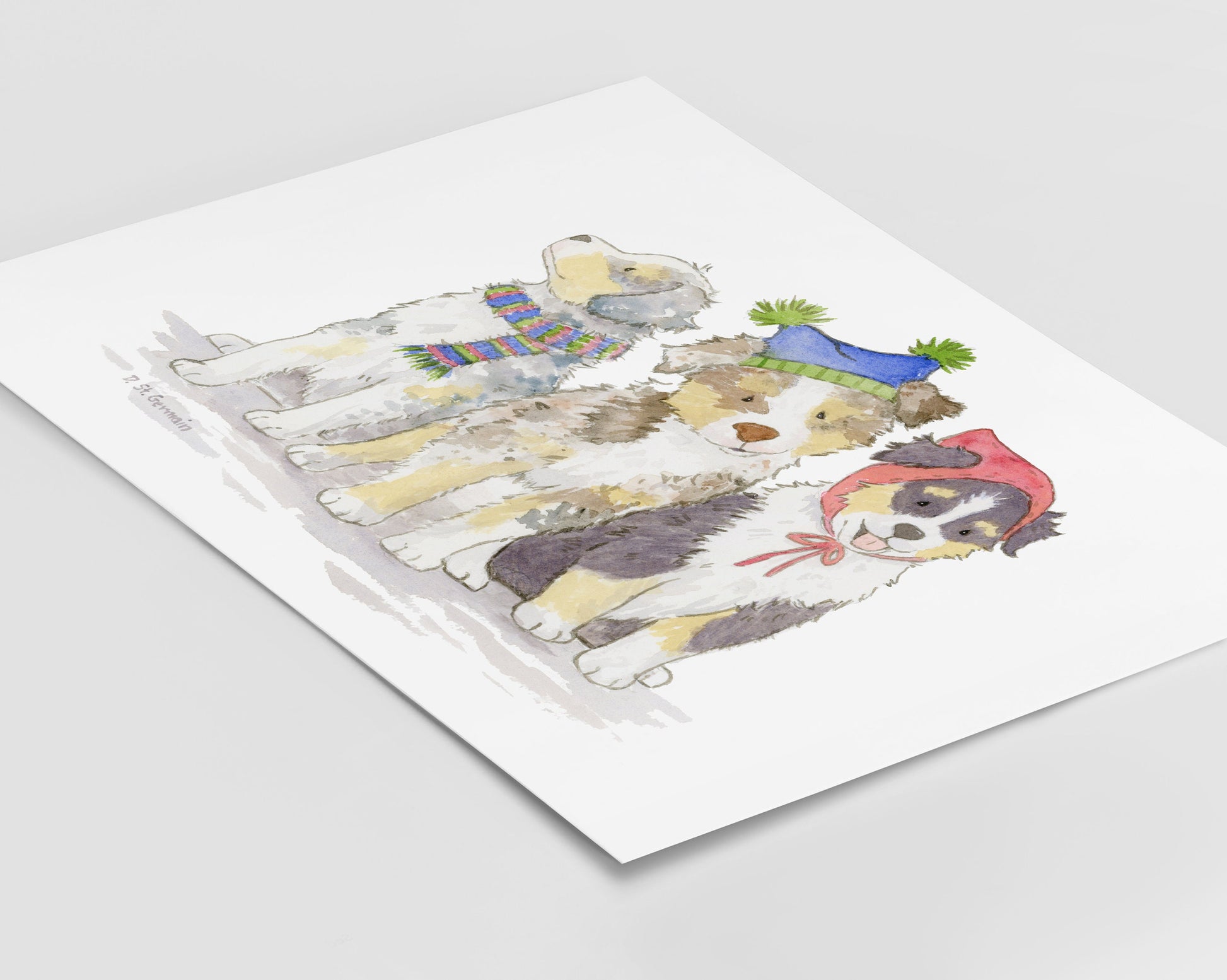 Australian Shepherd Holiday Art Print