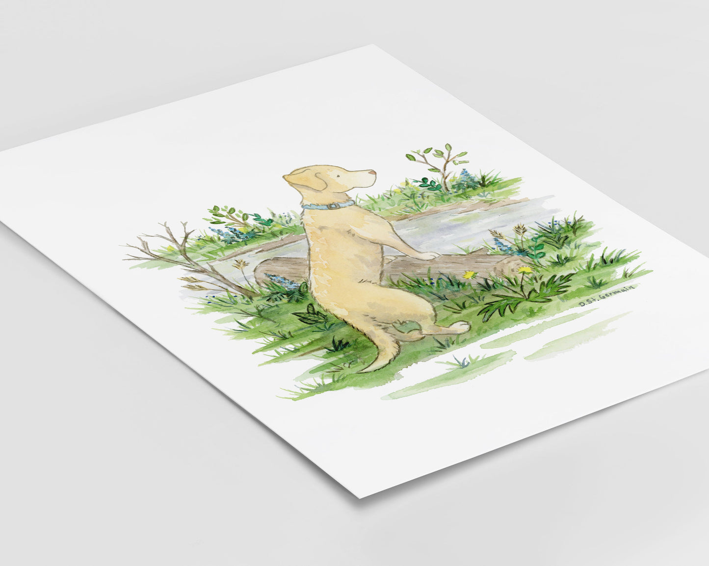 Yellow Lab Print, Yellow Labrador Retriever Artwork