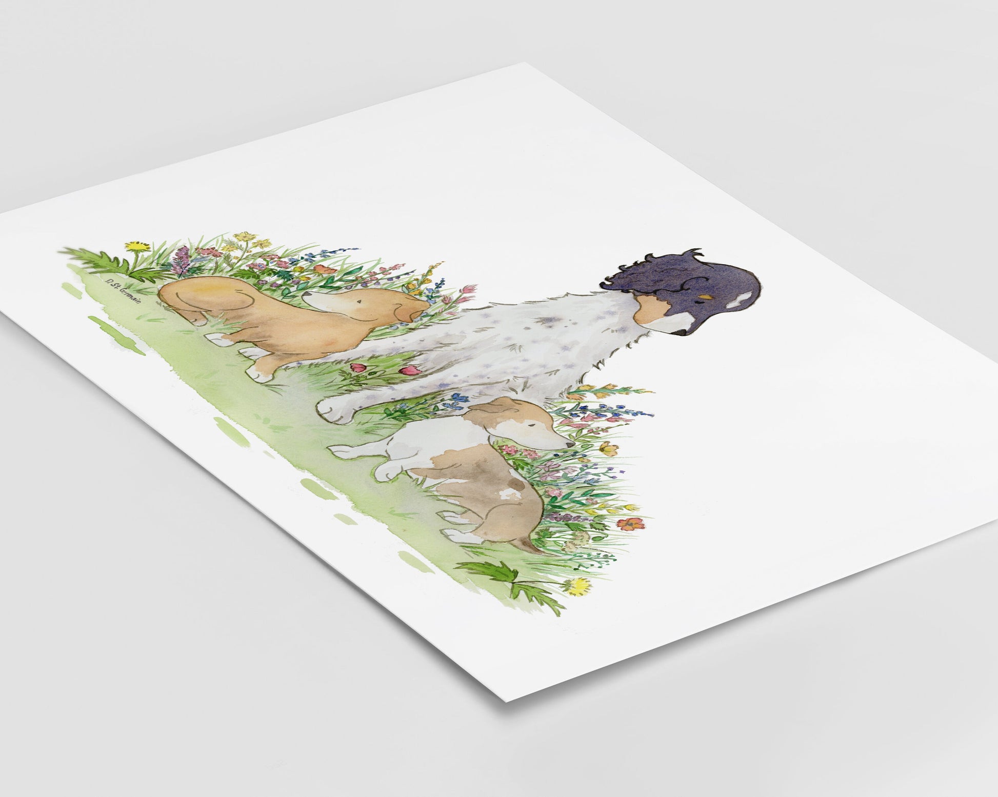 English Setter with Dachshunds Watercolor Art Print