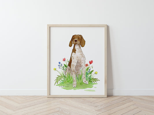 German Shorthaired Pointer Watercolor Art Print