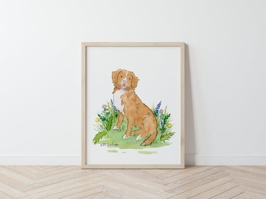 Nova Scotia Duck Tolling Retriever Art Print, Toller Gift for Dog Lovers
