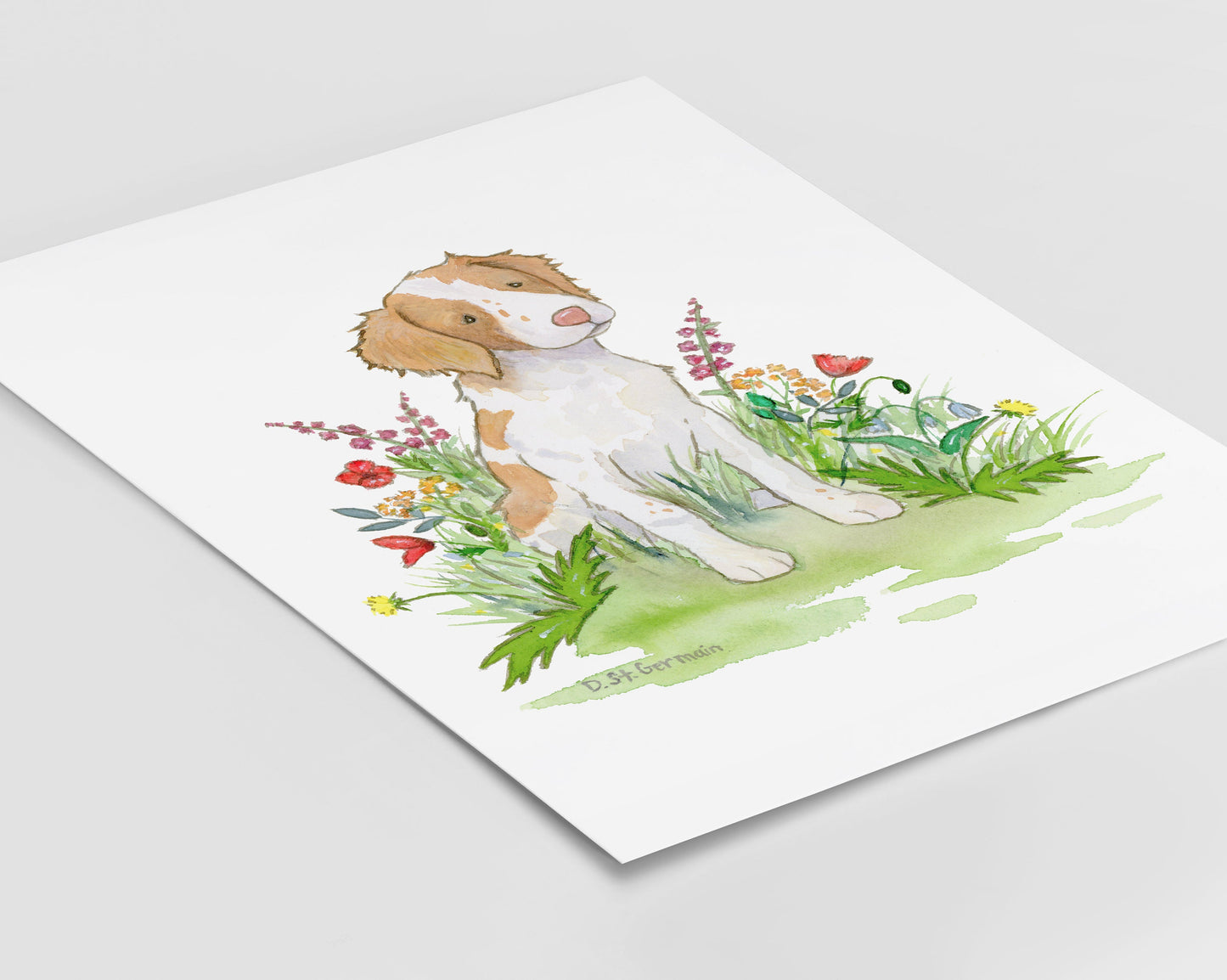 Brittany Spaniel Watercolor Art Print, Dog Lover Gift