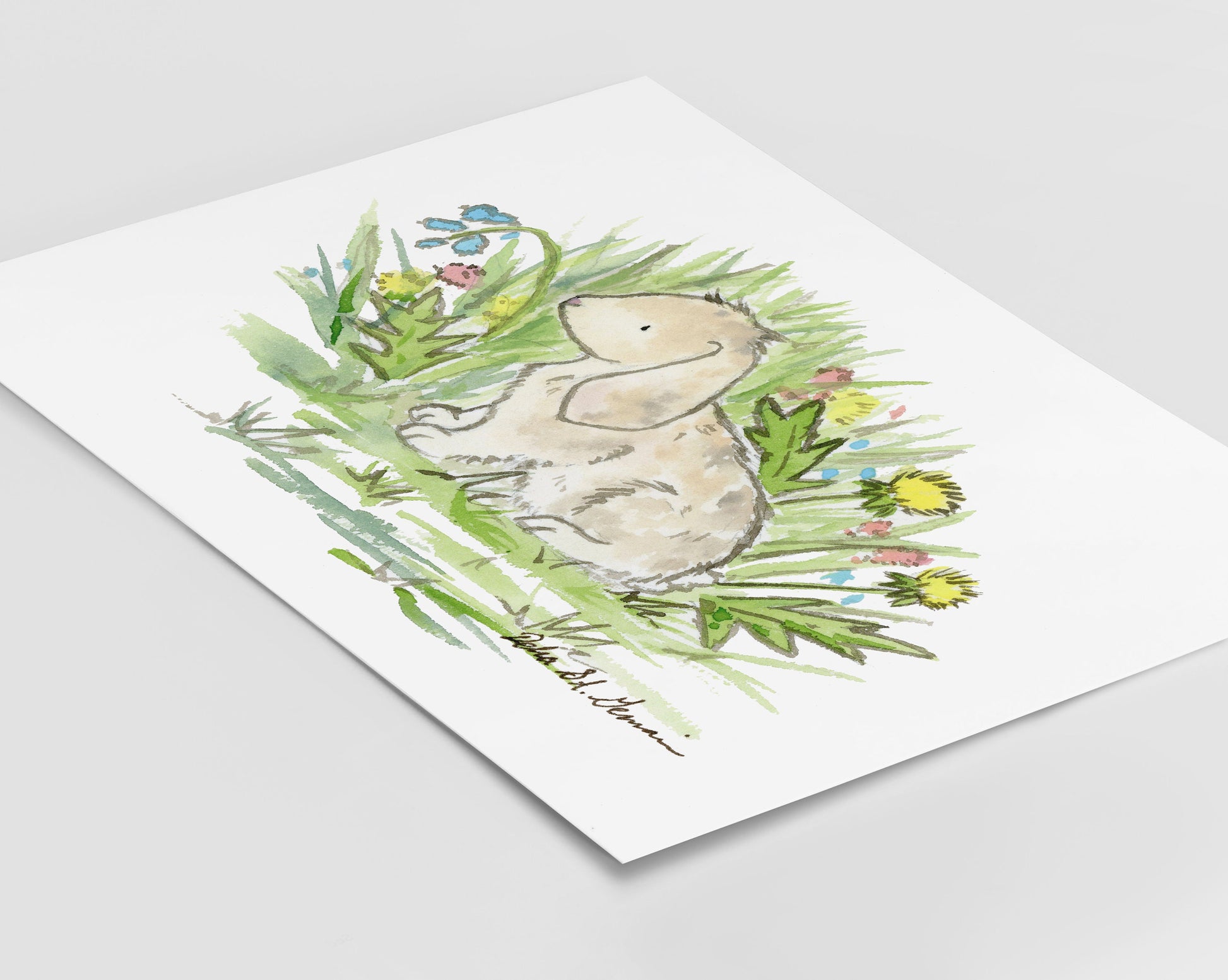 Lop Eared Bunny Art, Rabbit watercolor print