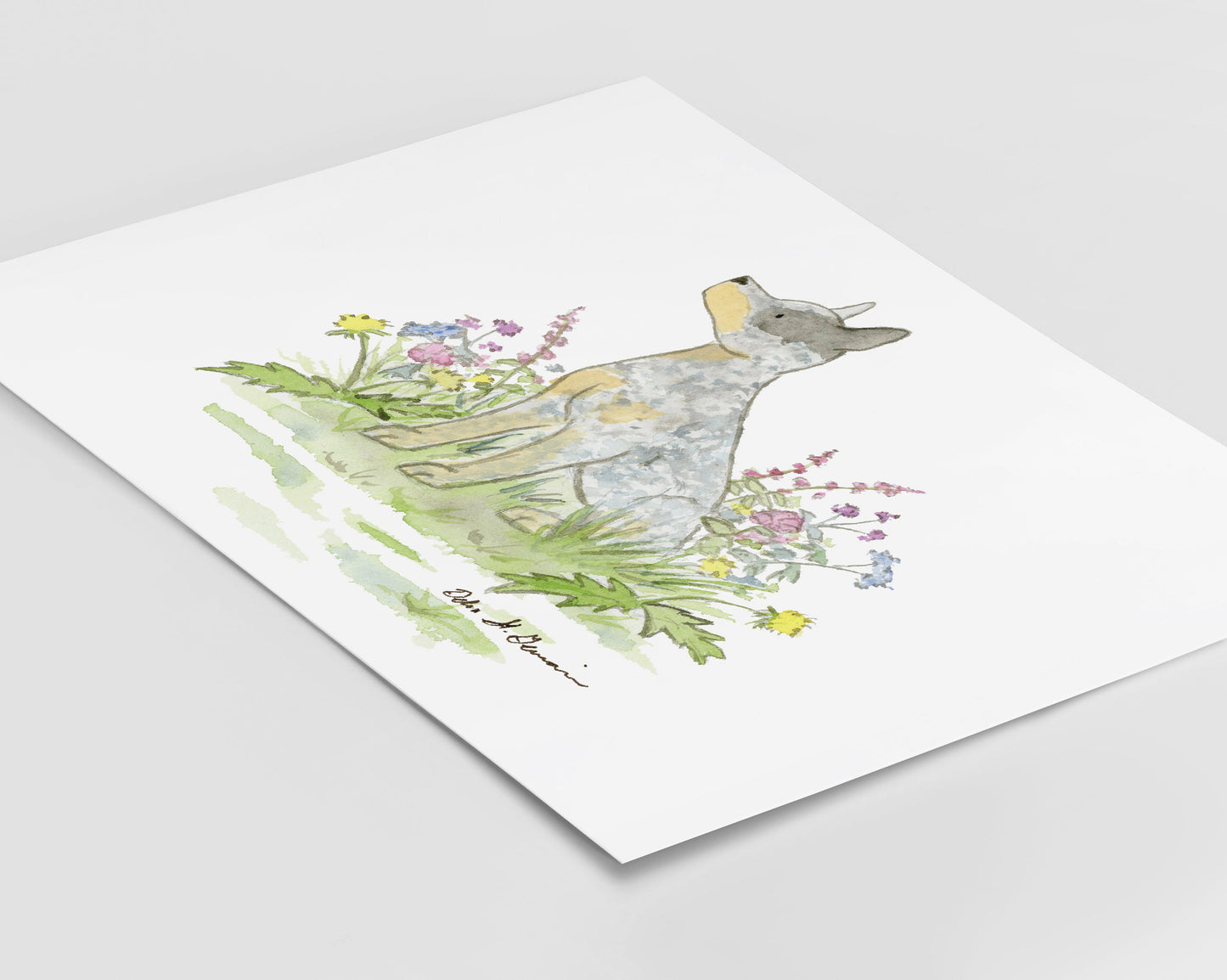 Australian Cattle Dog Art Print, Watercolor Blue Heeler Art
