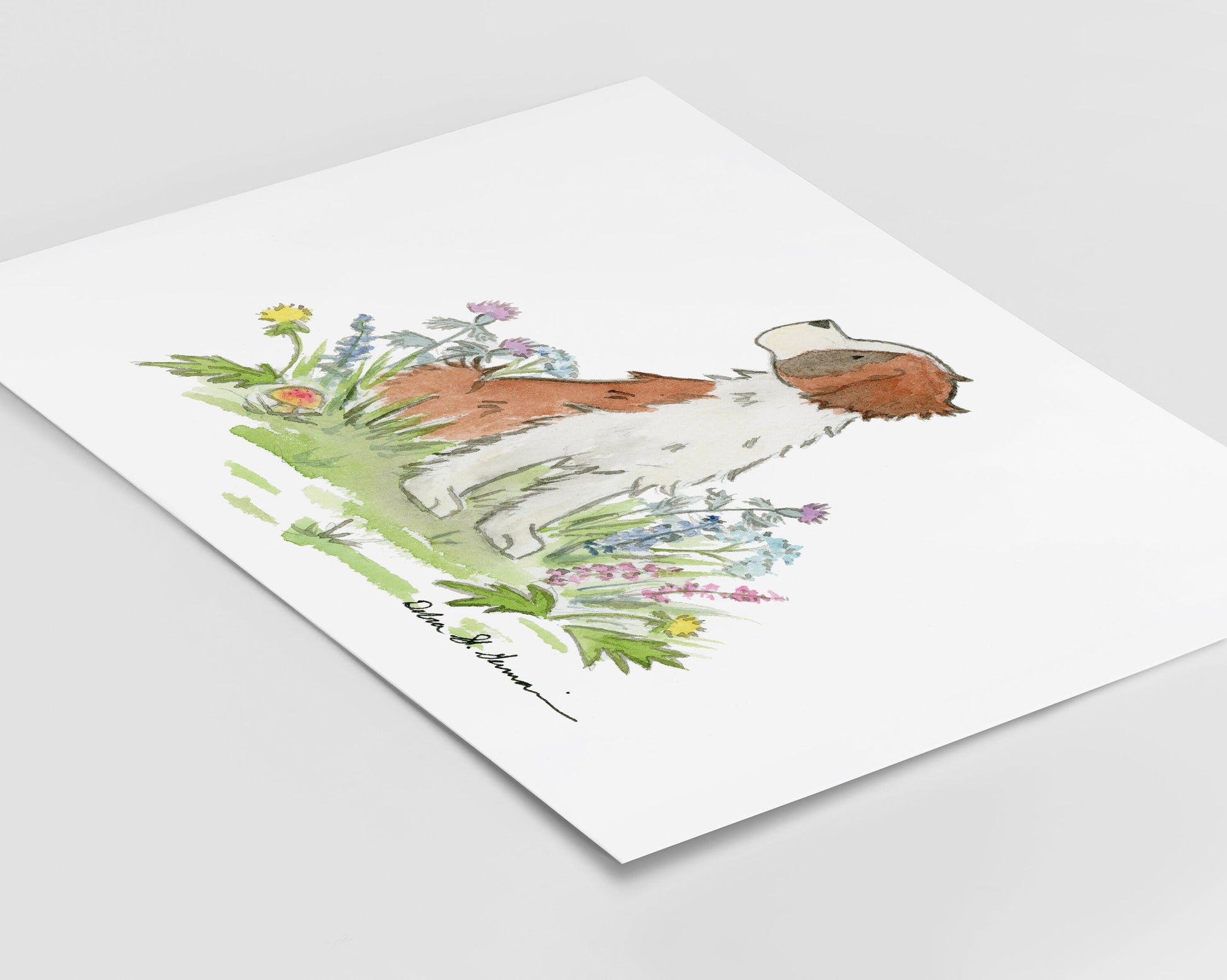 St Bernard Print Art, Watercolor Illustration Print