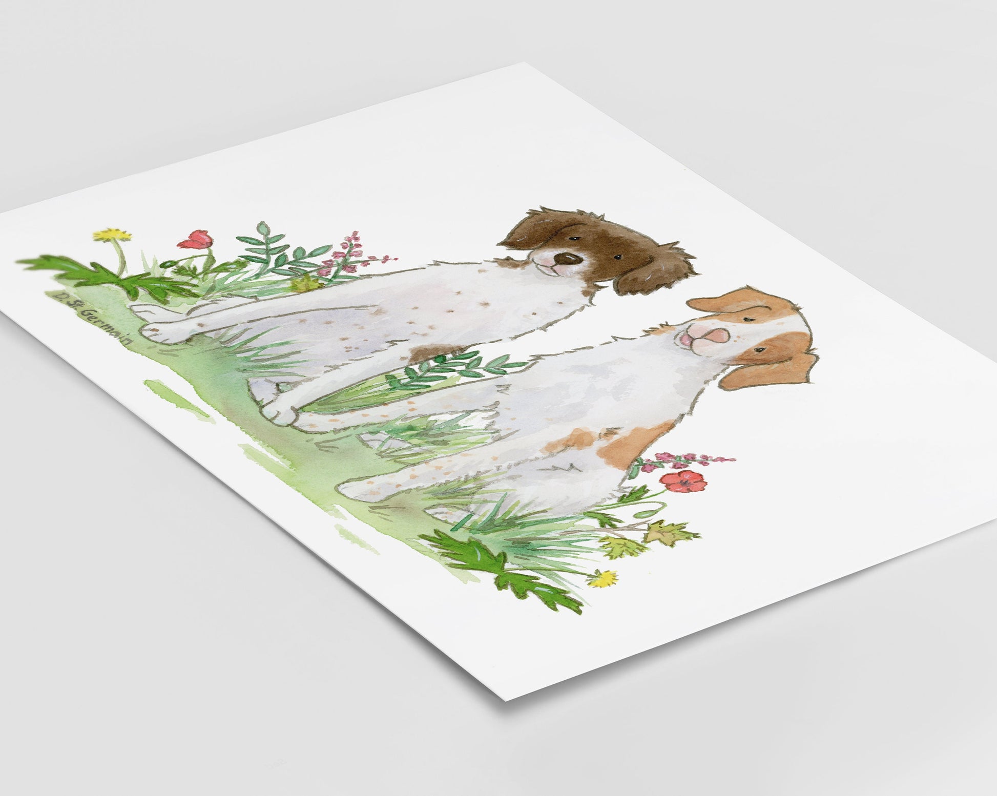 Brittany Spaniel Watercolor Art Print