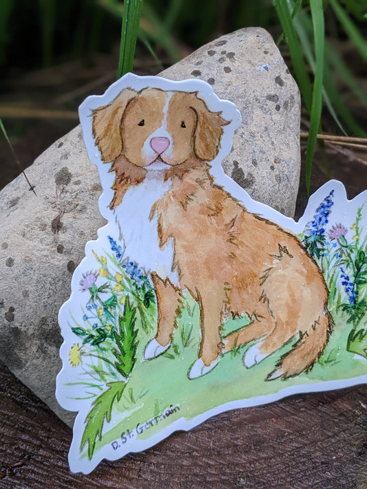 Nova Scotia Duck Tolling Retriever Vinyl Sticker