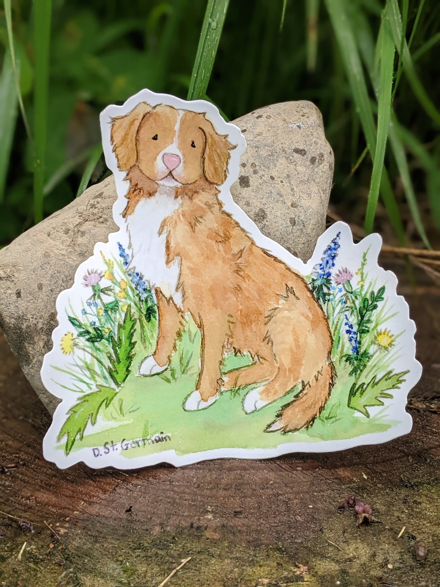 Nova Scotia Duck Tolling Retriever Vinyl Sticker