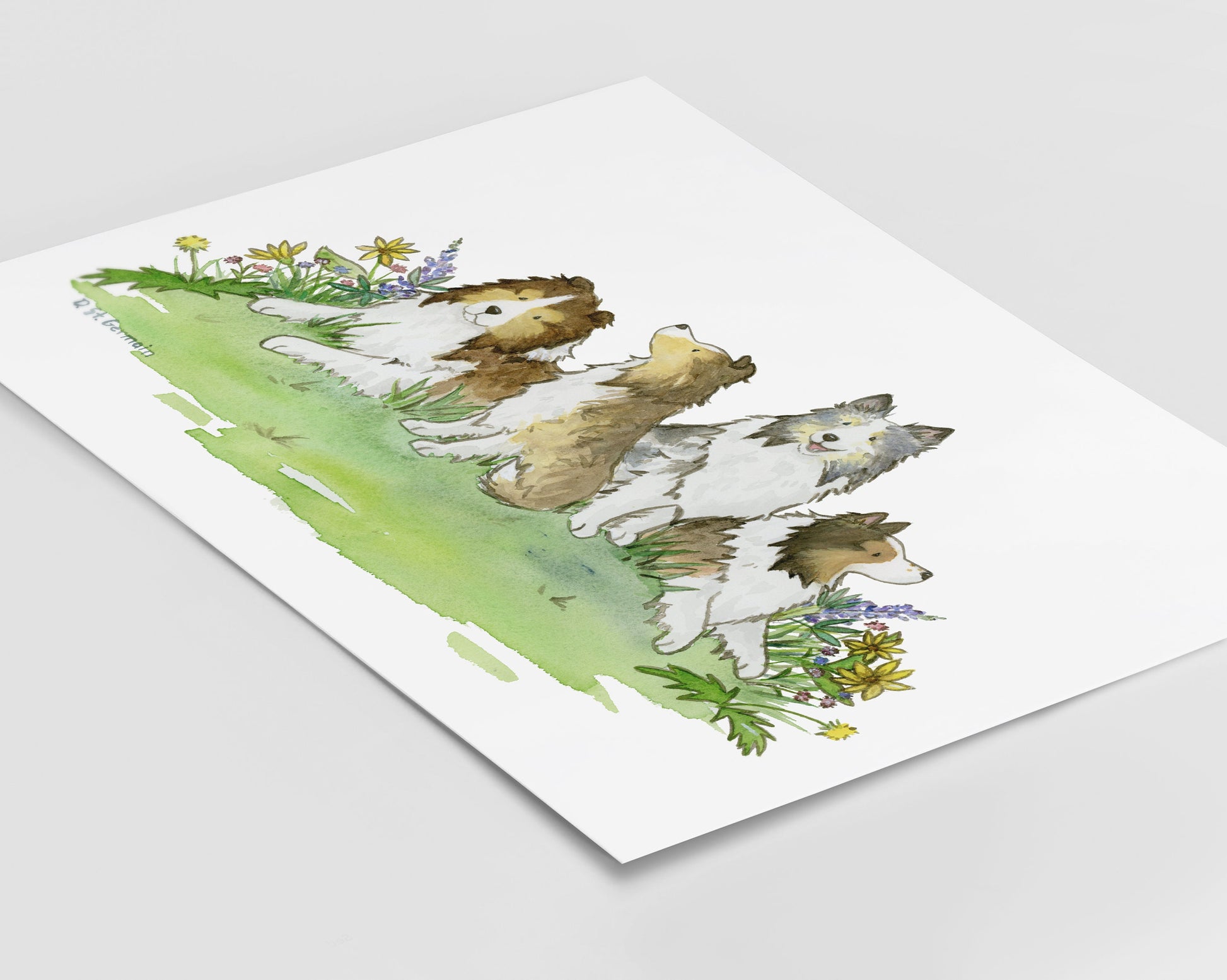 This is a print of an original watercolor painting of four Shetland sheepdogs sitting in colorful flowers.
