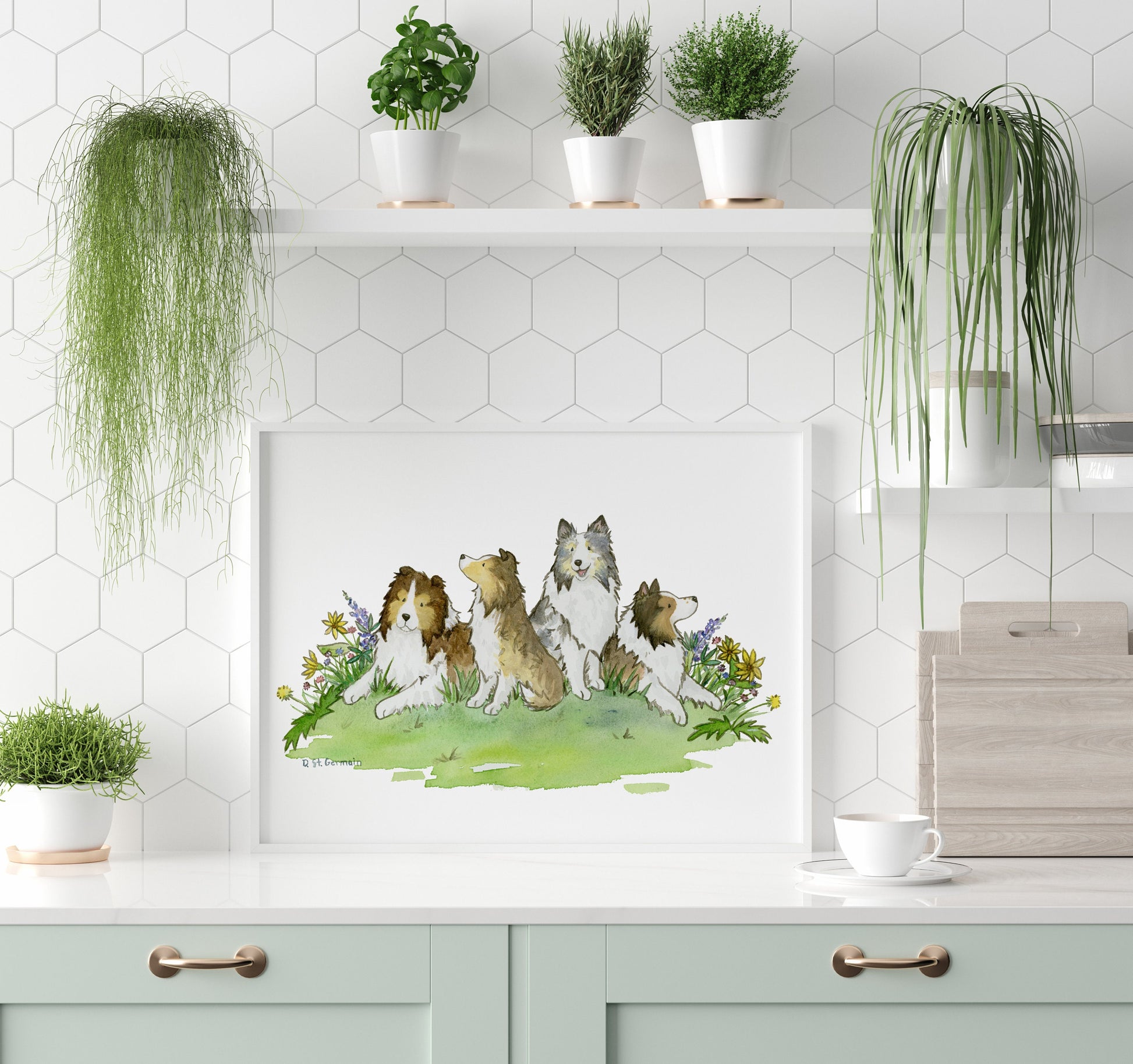 This is a print of an original watercolor painting of four Shetland sheepdogs sitting in colorful flowers.