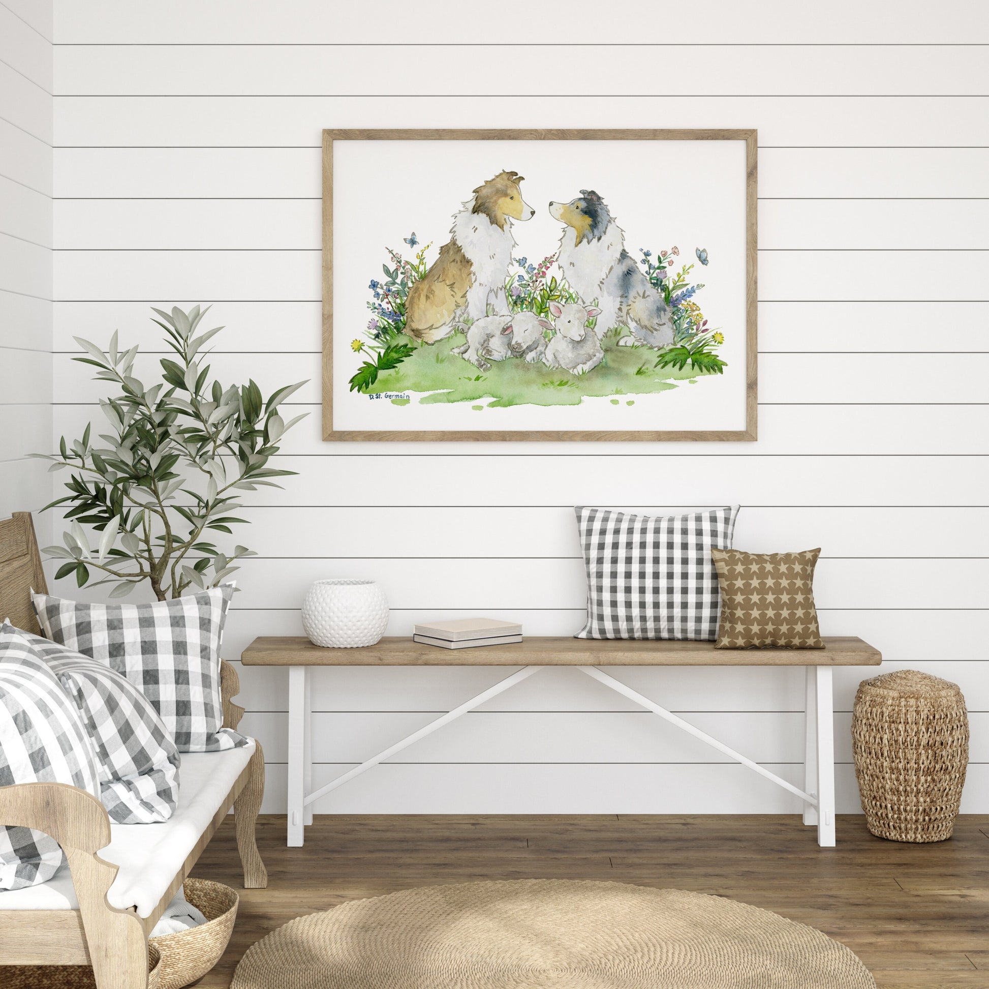 Watercolor print of a sable merle and blue merle sheltie with two little lambs sitting in wildflowers hanging in a farmhouse style room.