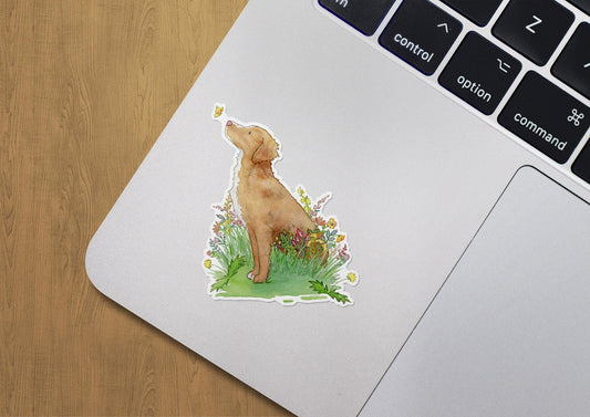 Toller Sticker, Nova Scotia Duck Tolling Retriever Vinyl Sticker, Toller Gift, Laptop Sticker, Cute Dog Sticker, Dog Lover Gift