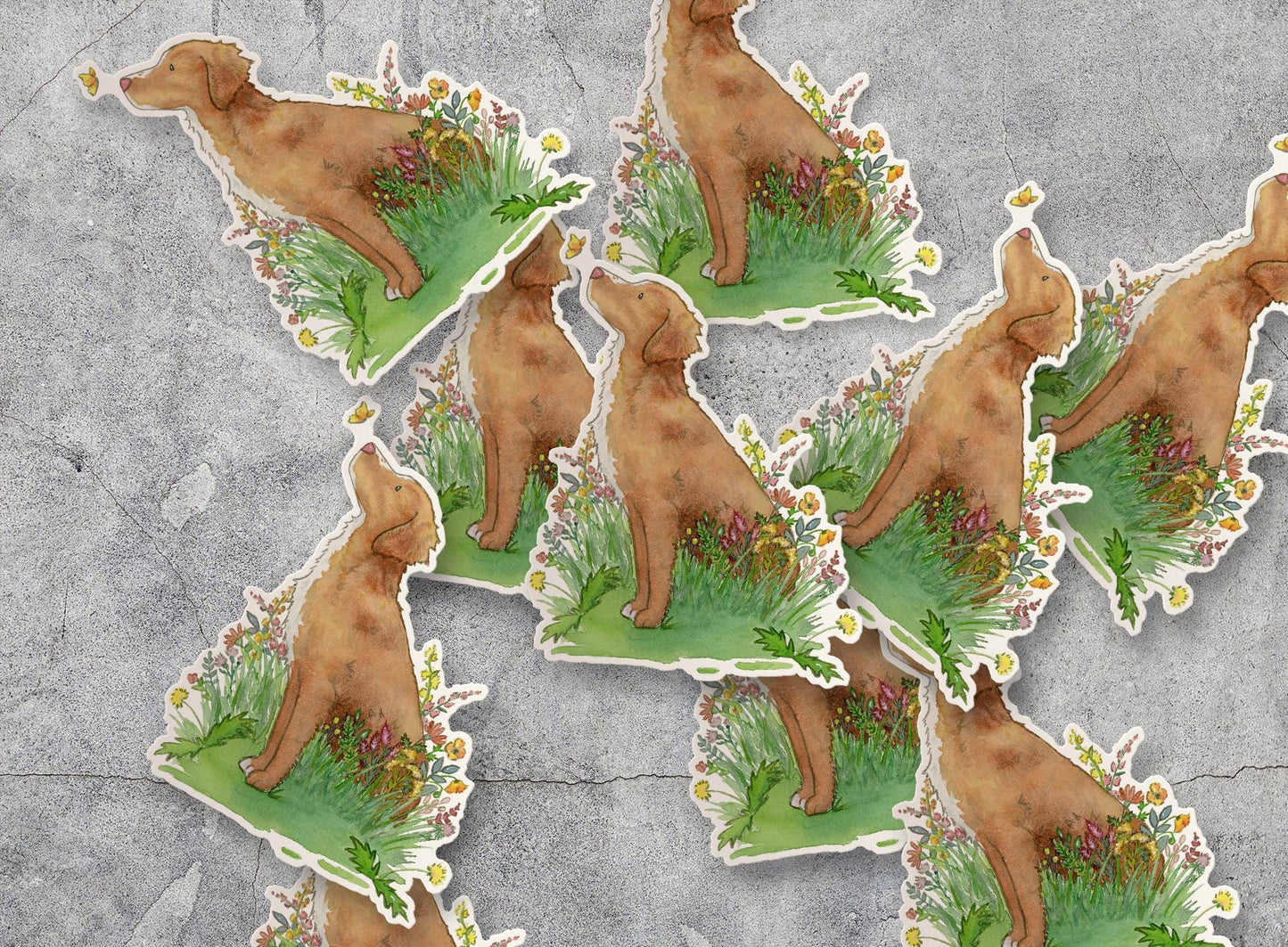 Toller Sticker, Nova Scotia Duck Tolling Retriever Vinyl Sticker, Toller Gift, Laptop Sticker, Cute Dog Sticker, Dog Lover Gift
