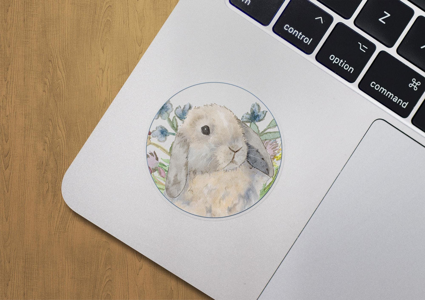 Circle sticker with a blue tort holland lop bunny and flowers on it.