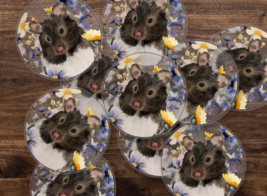 Cute Hamster Sticker, Black and White Hamster, Syrian Hamster, hamster Owner Gift, Hamster Lover Gift, Watercolor Hamster