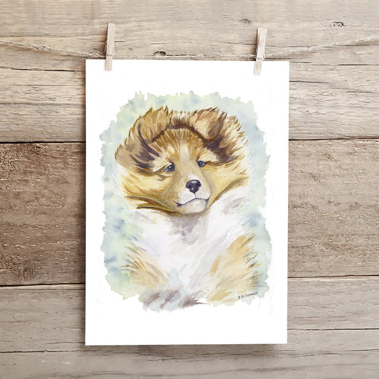 Sheltie Art, Sable Sheltie Puppy, Shetland Sheepdog, Children's Art, Sheltie Gift, Sheltie Lover, Watercolor, Dog Portrait, Collie print