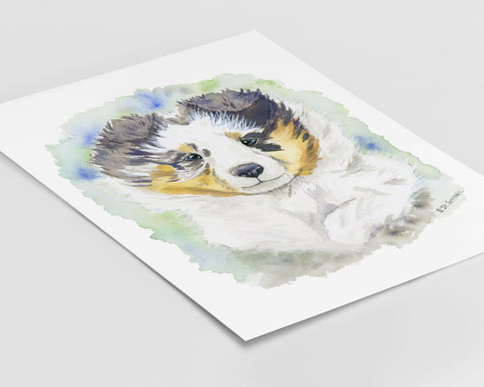 Blue Merle Sheltie Puppy Art, Shetland Sheepdog Watercolor Print, Cute Dog Art, Sheltie Gift
