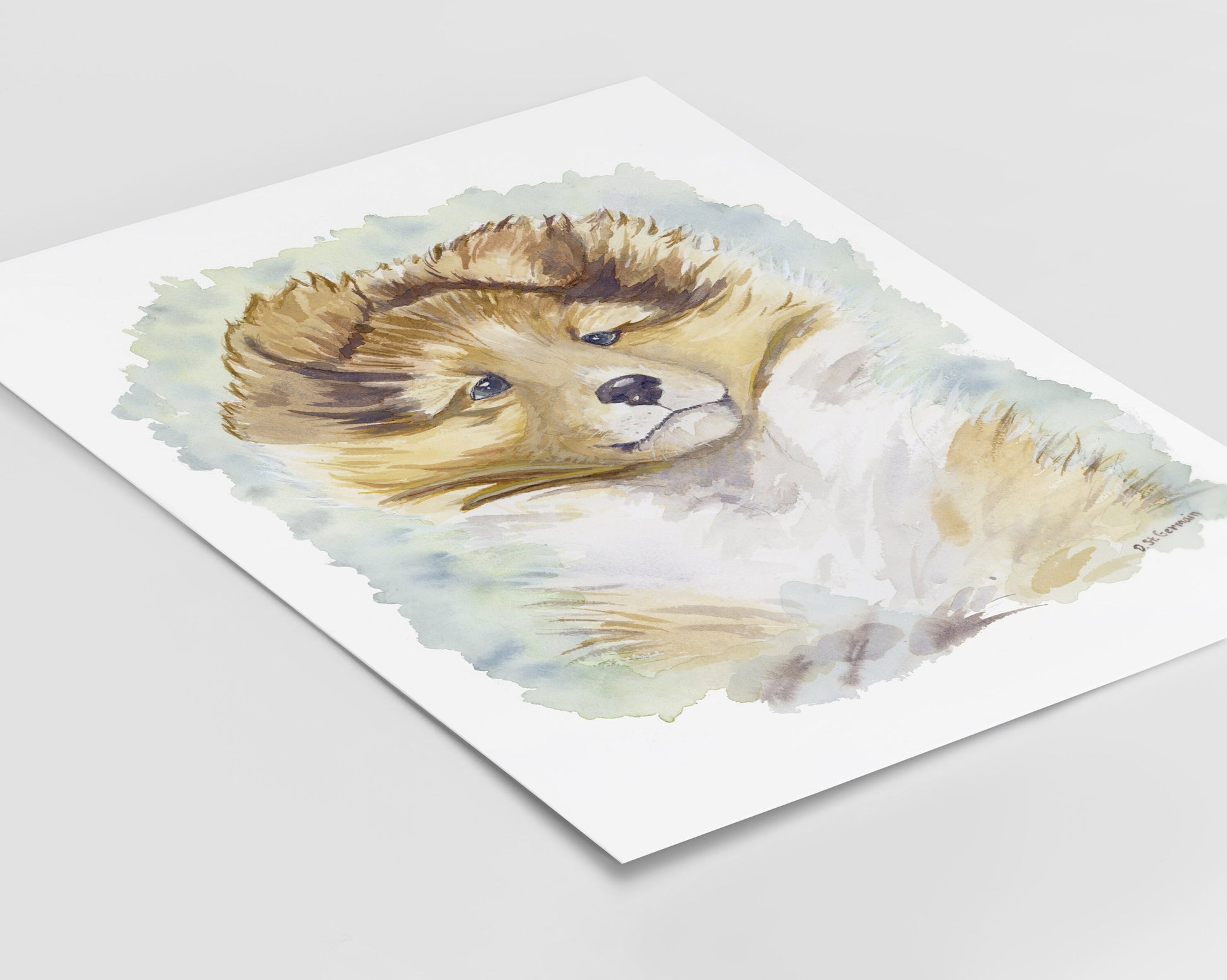 Sheltie Art, Sable Sheltie Puppy, Shetland Sheepdog, Children's Art, Sheltie Gift, Sheltie Lover, Watercolor, Dog Portrait, Collie print