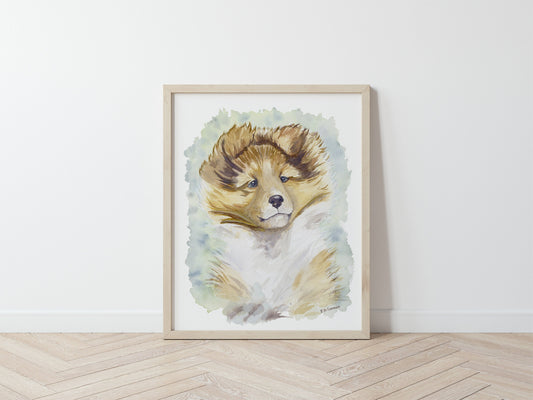 Sheltie Art, Sable Sheltie Puppy, Shetland Sheepdog, Children's Art, Sheltie Gift, Sheltie Lover, Watercolor, Dog Portrait, Collie print