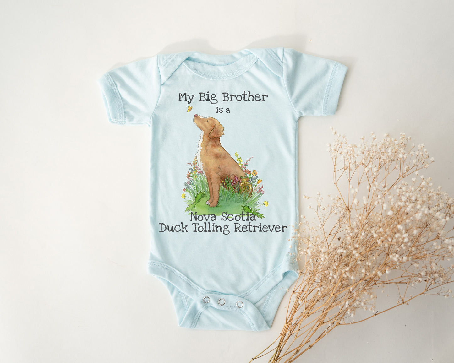 Baby one-piece bodysuit with cute artwork of a Nova Scotia Duck Tolling Retriever looking at a butterfly and the words, "My big brother is a Nova Scotia Duck Tolling Retriever" on it.