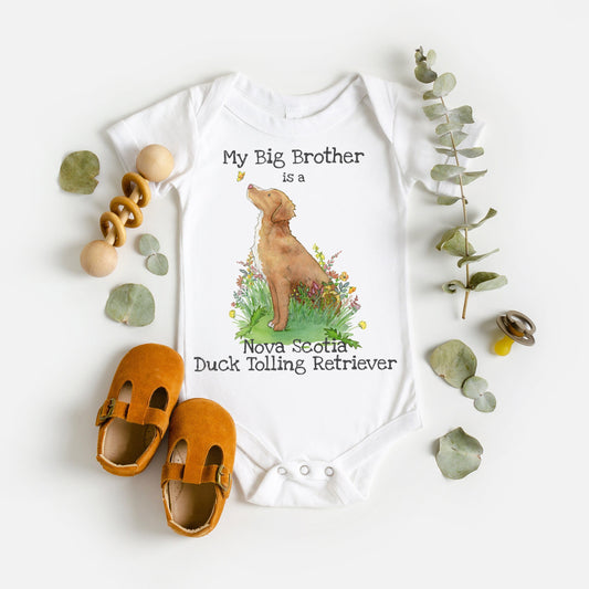 Baby one-piece bodysuit with cute artwork of a Nova Scotia Duck Tolling Retriever looking at a butterfly and the words, &quot;My big brother is a Nova Scotia Duck Tolling Retriever&quot; on it.