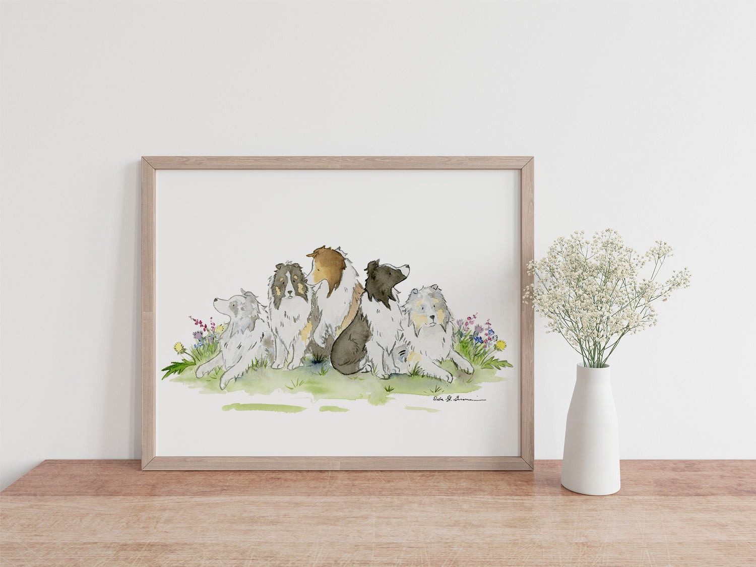 Sheltie Art, Shetland Sheepdog Art