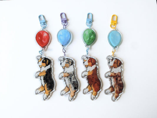 Acrylic Aussie Keychain, Aussie with Balloon, Australian Shepherd Gift, Red Merle, Tri, Blue Merle