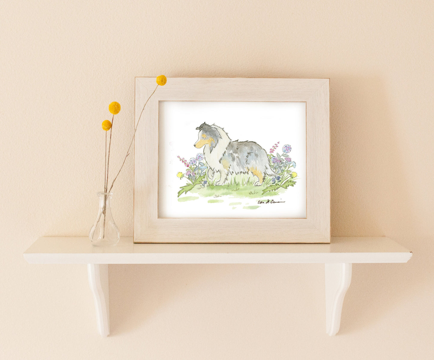 Blue Merle Sheltie Art, Watercolor Shetland Sheepdog Print