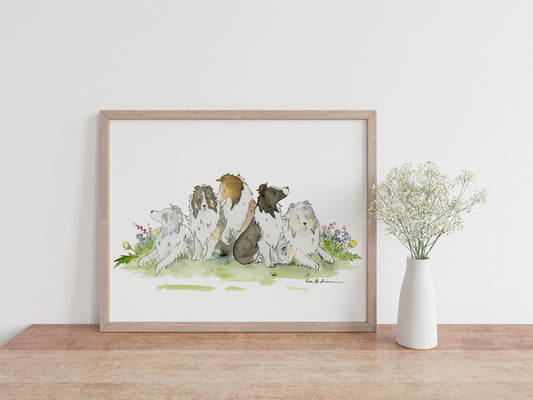 Shetland Sheepdog Watercolor Art Print, Gift for Sheltie Lovers
