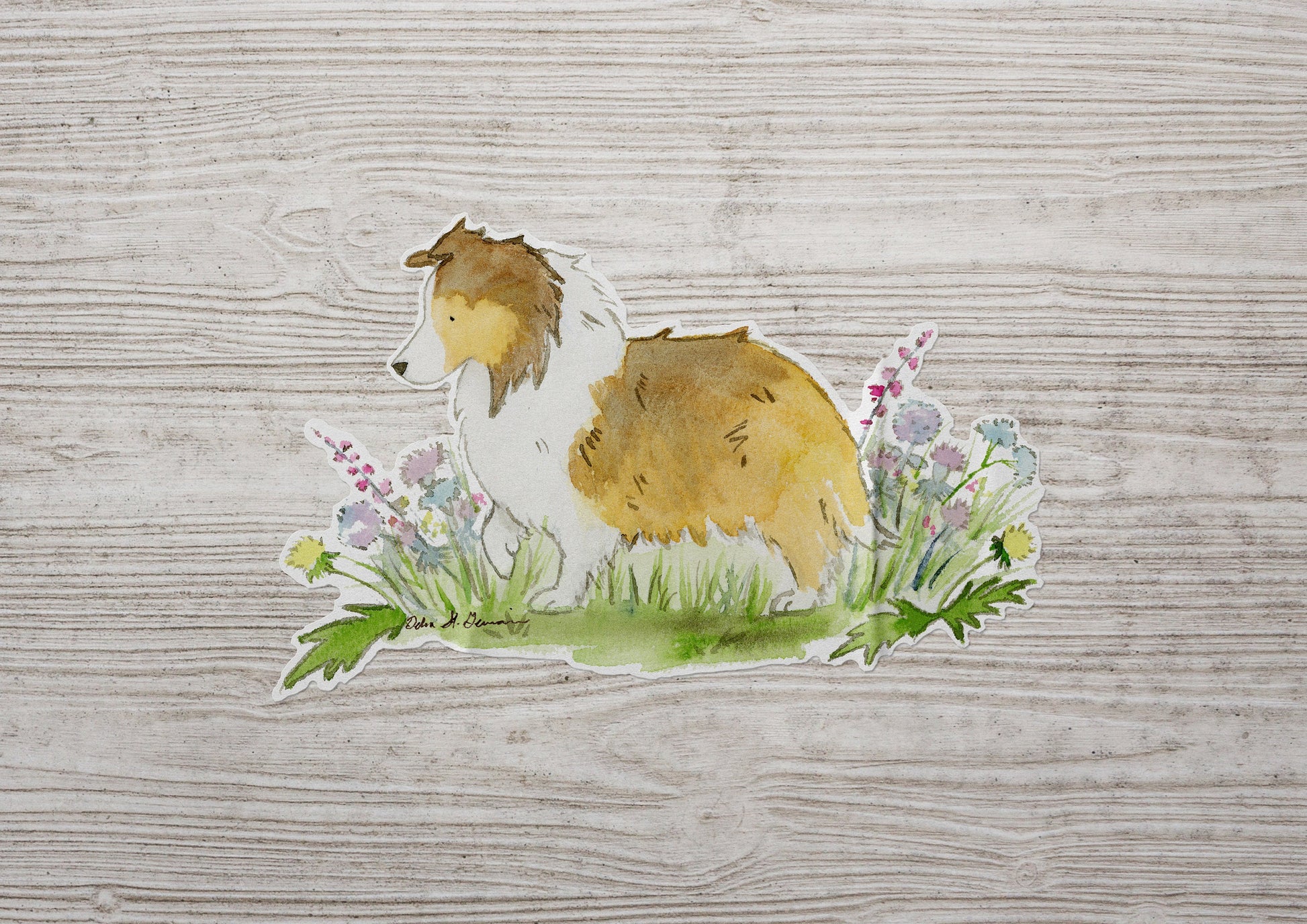 Shetland Sheepdog Sticker, Sable Sheltie Car Decal