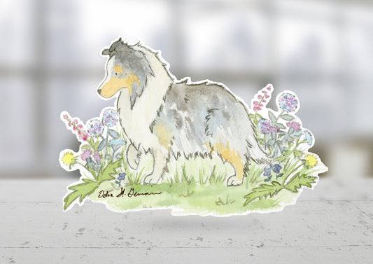 Blue Merle Shetland Sheepdog Sticker, Sheltie Car Decal