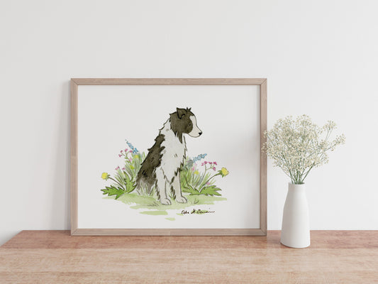 Border Collie Watercolor Print, Gift For Dog Lovers