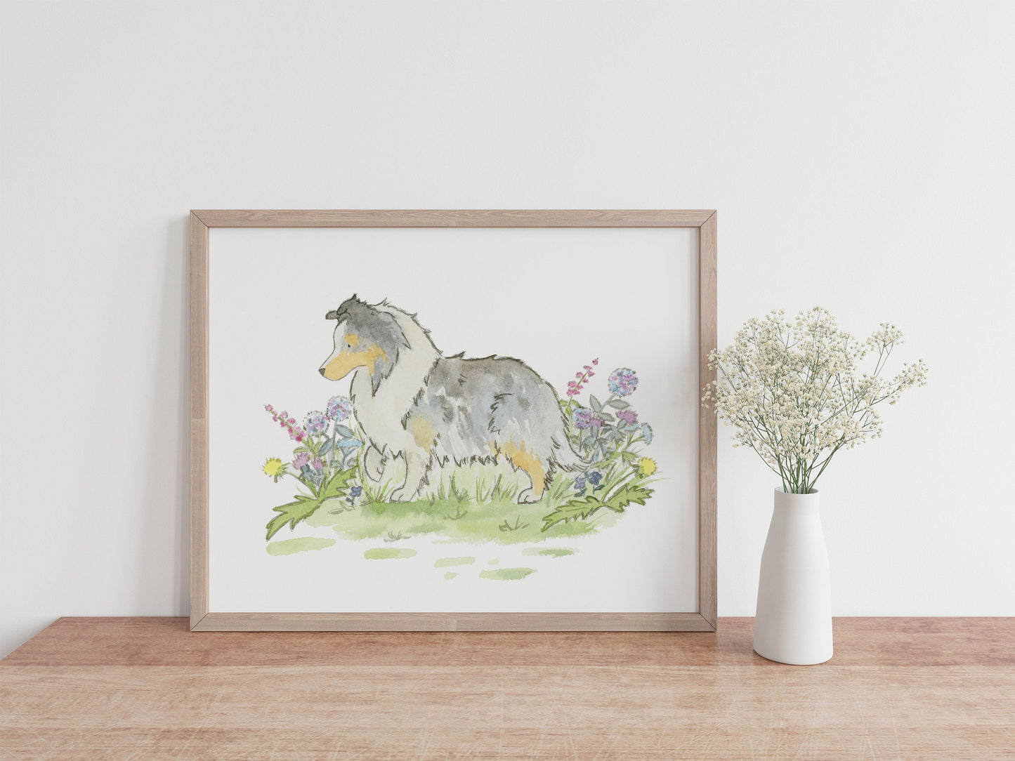 Blue Merle Sheltie Art, Watercolor Shetland Sheepdog Print