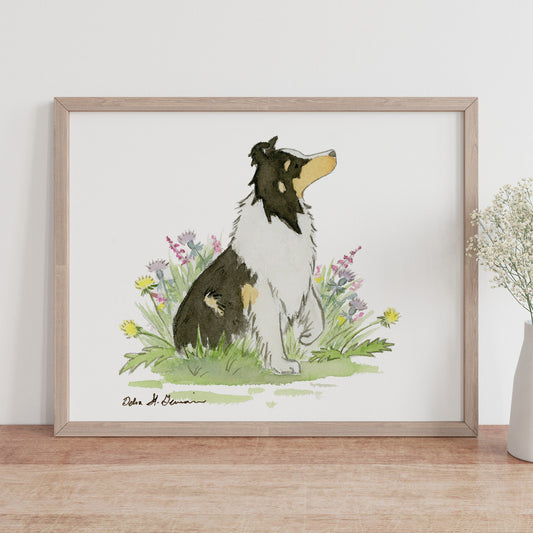 Sheltie Art, Tricolor Shetland Sheepdog Watercolor Print, Gift for Sheltie Lover