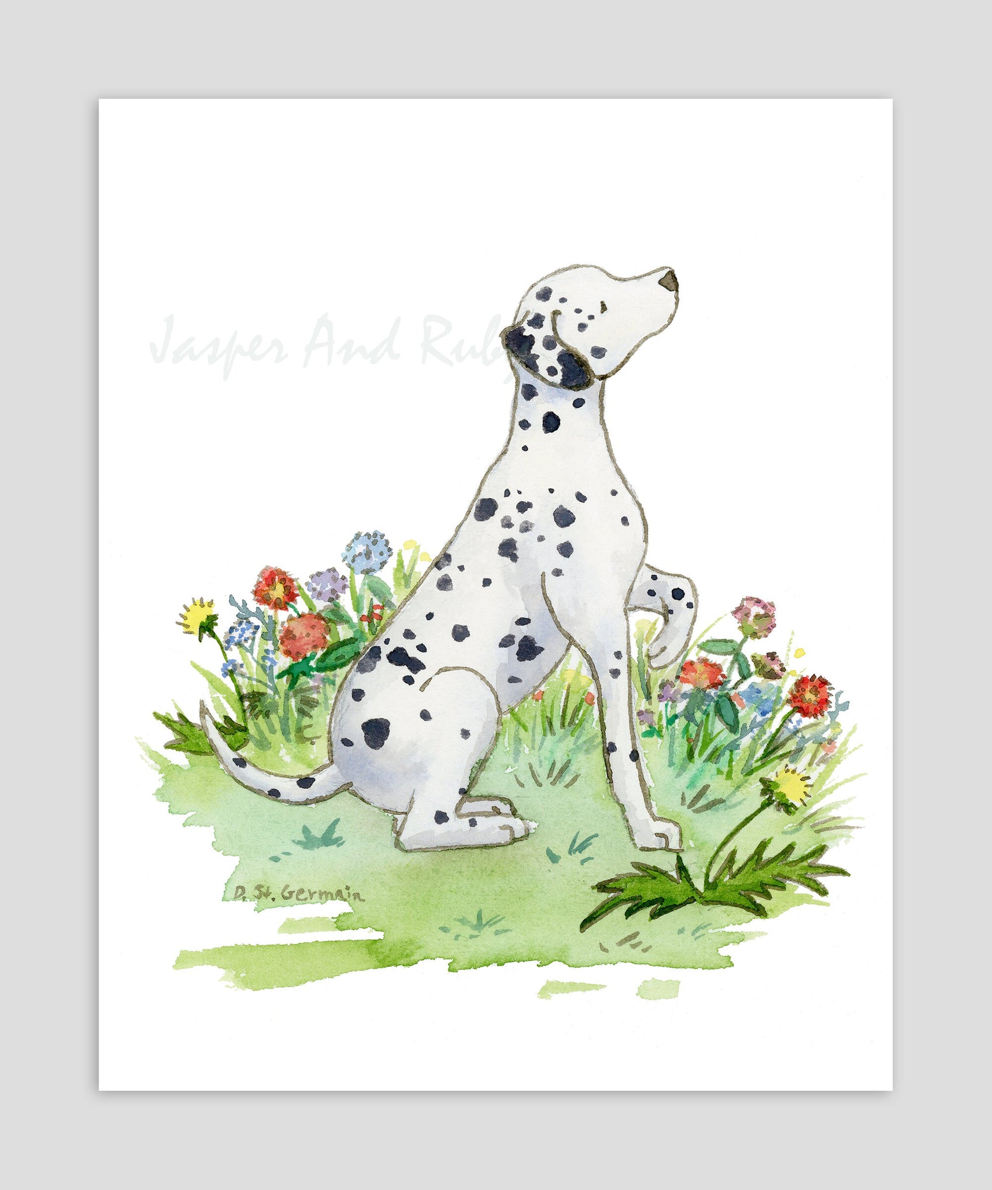 Dalmatian Watercolor Art Print, Gift for Dalmatian Lovers