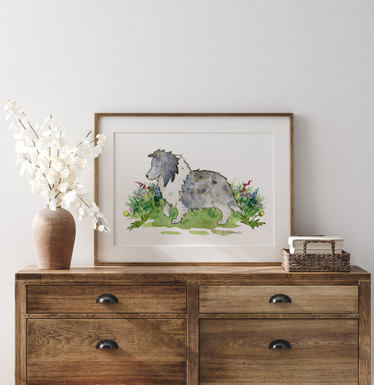 Bi Blue Sheltie Art Print, Sheltie Lover Gift