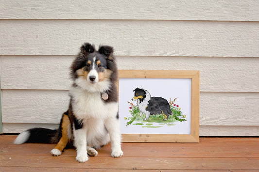 Tri Color Shetland Sheepdog Art Print, Sheltie Lover Gift