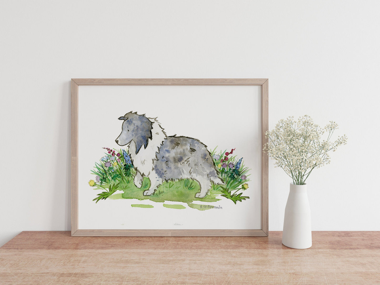 Bi Blue Sheltie Art Print, Sheltie Lover Gift
