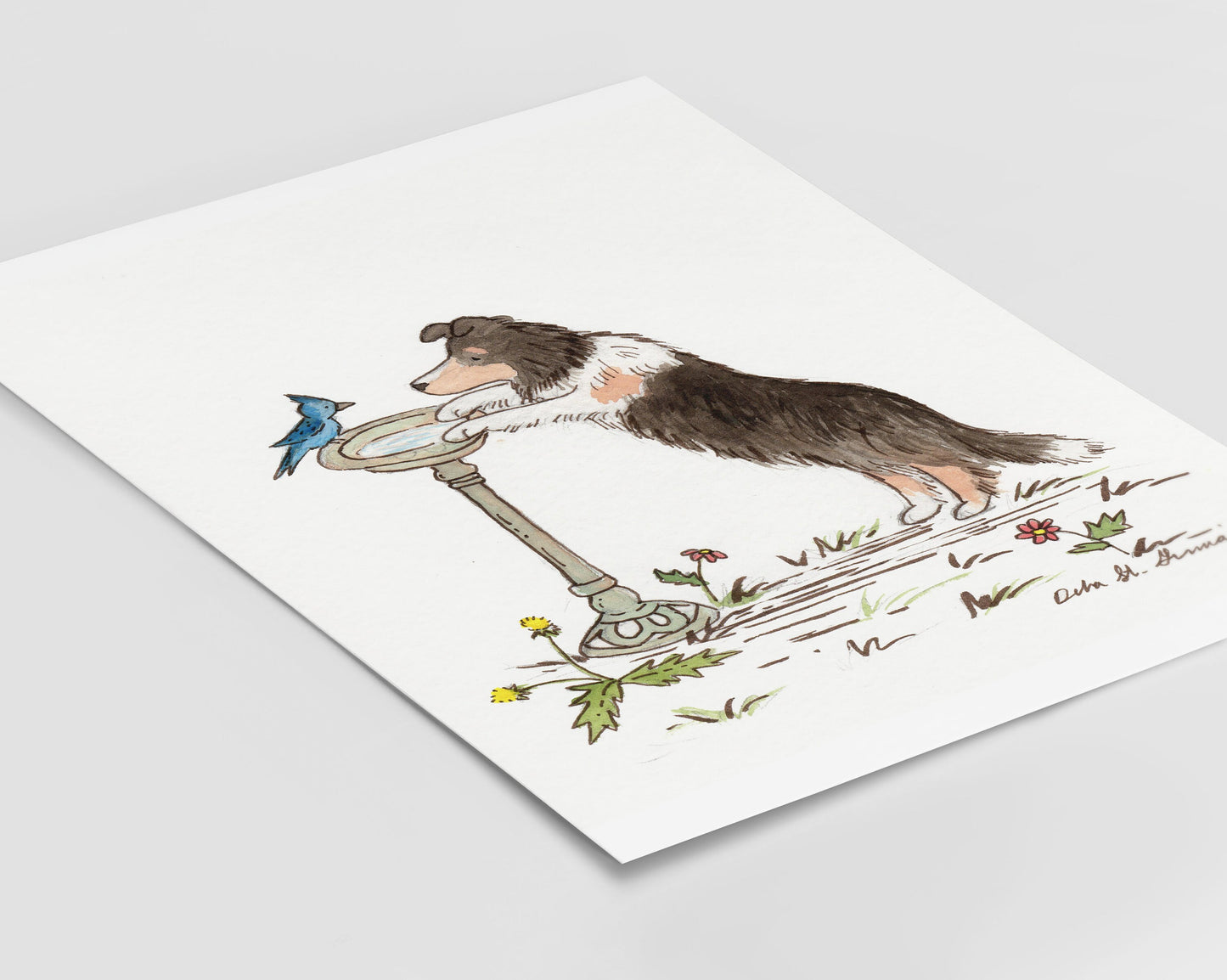 Tricolor Sheltie With Bluejay Art Print