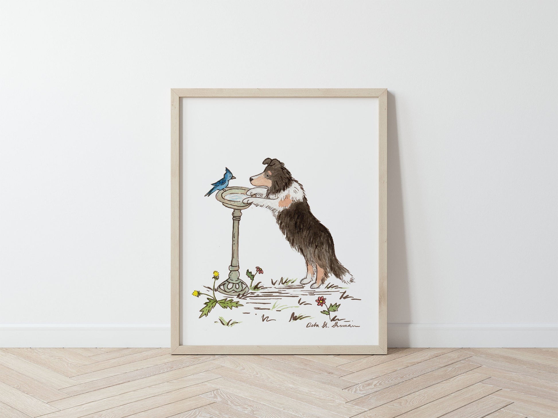 Tricolor Sheltie With Bluejay Art Print
