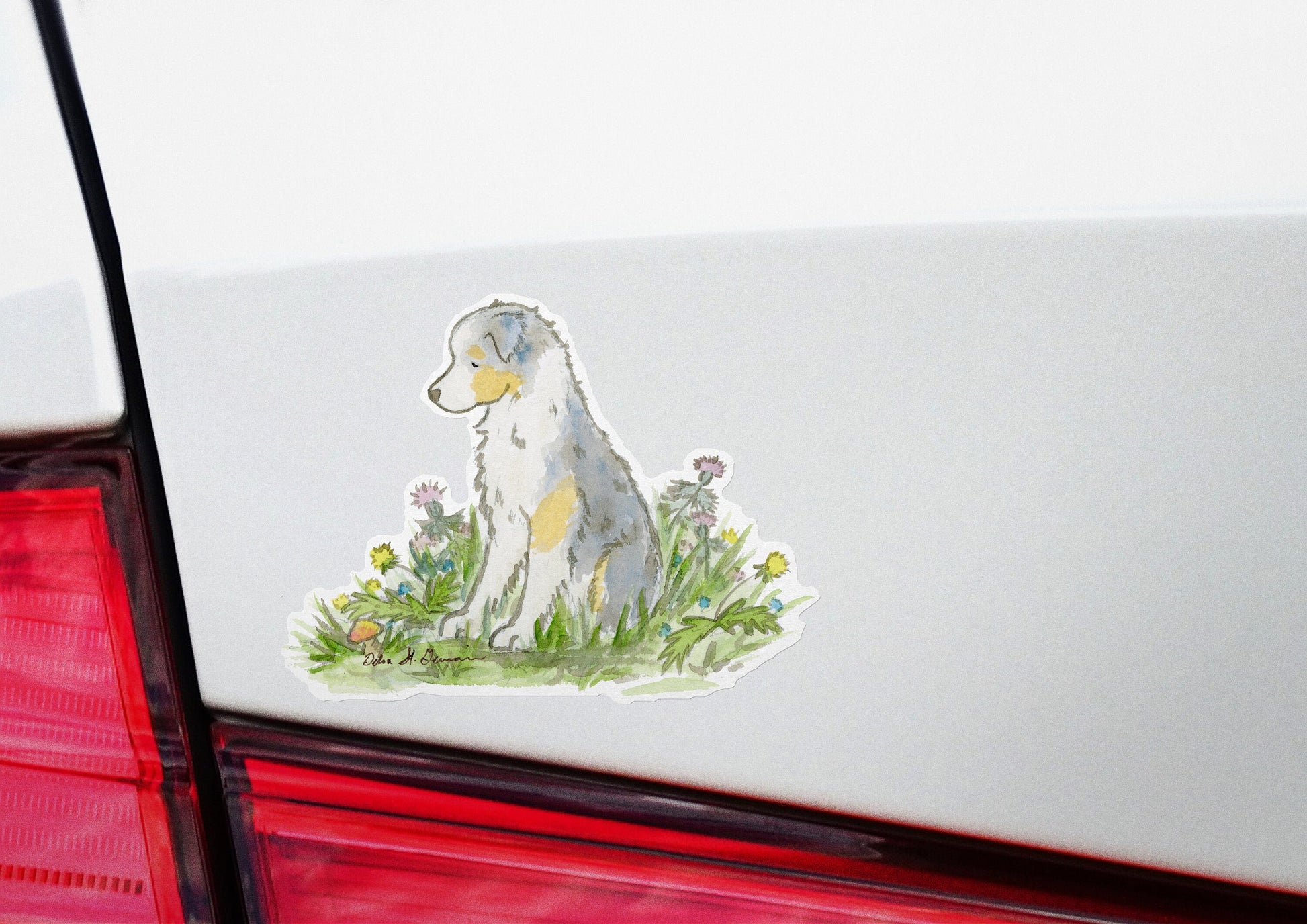 Australian Shepherd Sticker, Blue Merle Aussie Car decal