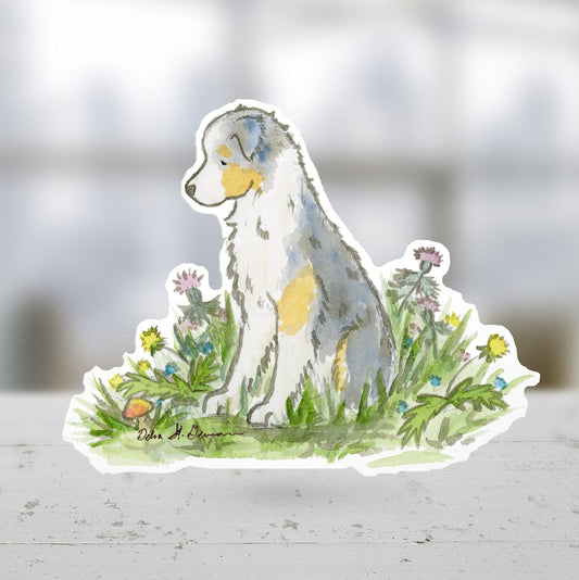 Australian Shepherd Sticker, Blue Merle Aussie Car decal